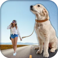 Big Camera - Bigger Camera Pic